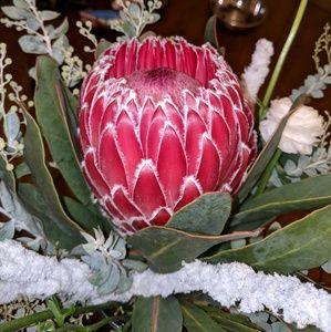 Meet your Posher, Patrick